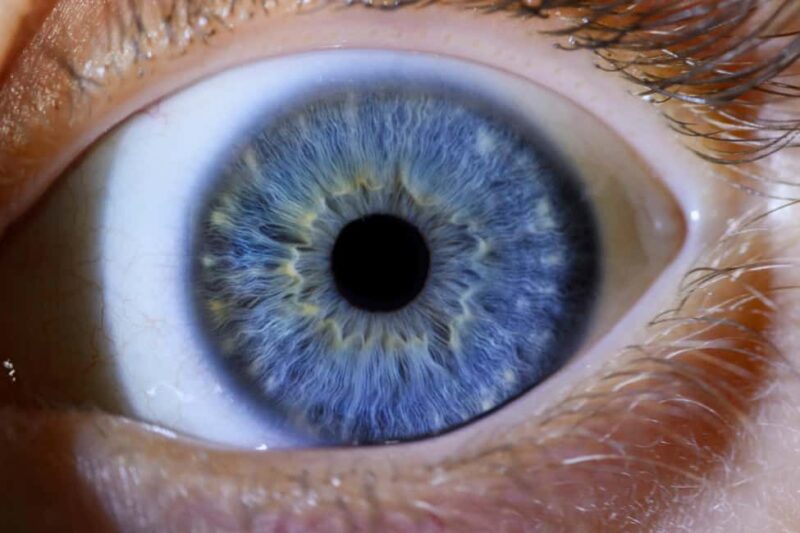 IRIS Photography (macro photo of your eye) - The Guide’s Style and Guest Experience