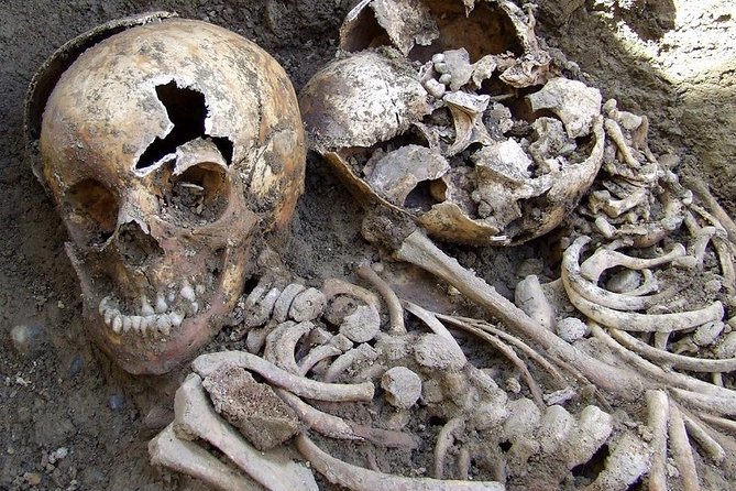 Irish Famine Museum / Exhibition Dublin - Location and Meeting Point in Dublins City Center