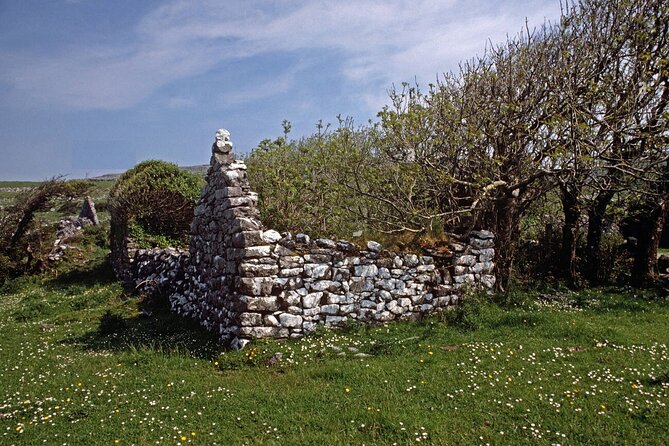 Irish Famine Museum / Exhibition Dublin - Multilingual Support and Additional Purchase Options