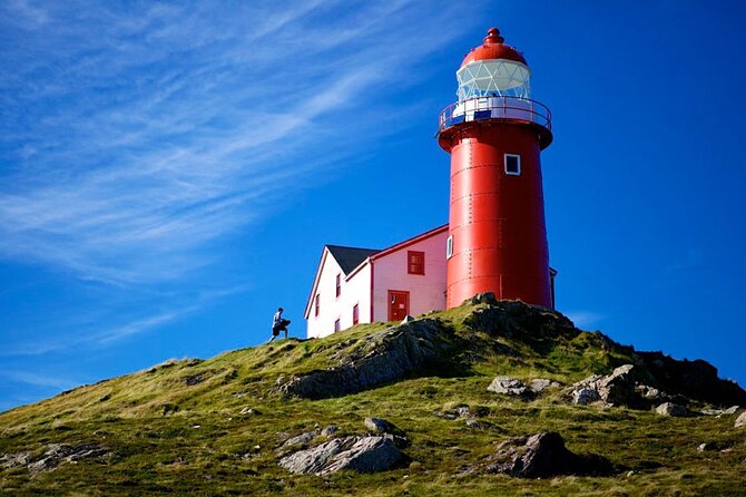 Irish Loop to Ferryland Tour - Key Points