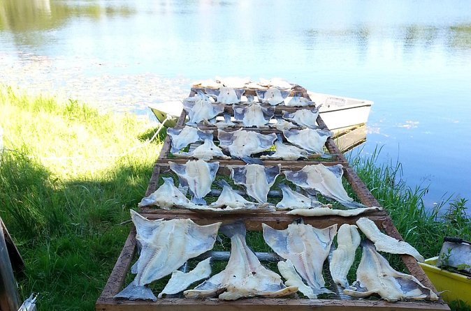 Irish Loop to Ferryland Tour - Discovering the Colony of Avalon: A 17th-Century Settlement