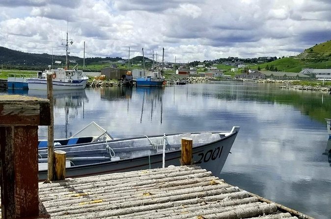 Irish Loop to Ferryland Tour - Practical Details: Accessibility, Group Size, and Weather
