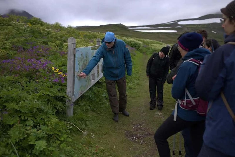 Ísafjörður: Hornstrandir Guided Hike Aðalvík to Hesteyri - Logistics and Booking Flexibility