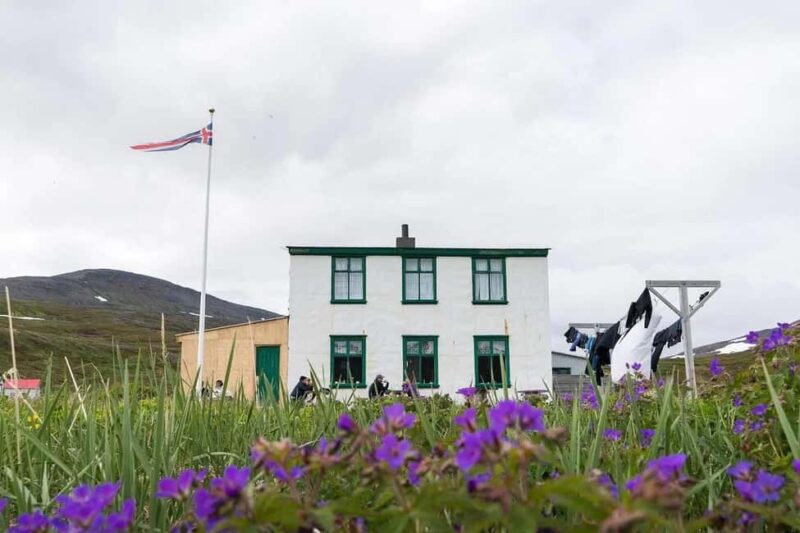 Ísafjörður: Hornstrandir Guided Hike Hesteyri to Aðalvík - Comparing Similar Icelandic Nature Tours