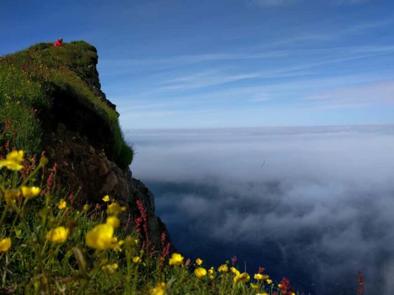 Ísafjörður: Hornstrandir Nature Reserve Guided Hike - Key Points