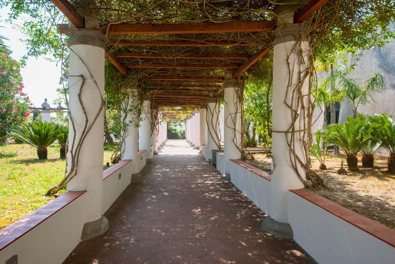 Ischia: Archaeological Museum of Pithecusae Ticket - The Atmosphere and Setting of the Museum