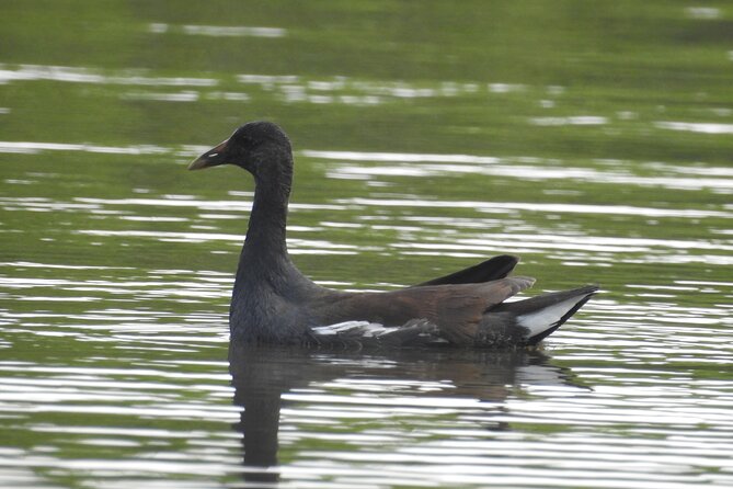 Isla Blanca wildlife expedition private bike & boat tour cancun mexico - Lagoon Boat Tour through The Manatee Lagoon