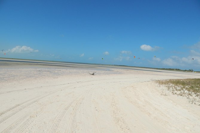 Isla Blanca wildlife expedition private bike & boat tour cancun mexico - Why This Tour Stands Out in Cancun