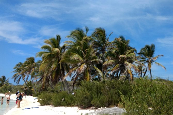 Isla Contoy and Isla Mujeres Tour with Snorkeling from Cancun - Whats Included and What Costs Extra