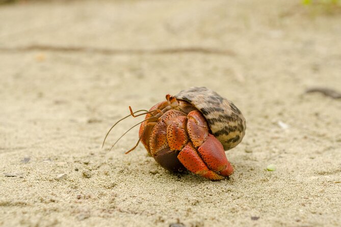 Isla Contoy Private Day Tour, from Cancun - Pickup and Meeting Point in Cancun’s Punta Sam
