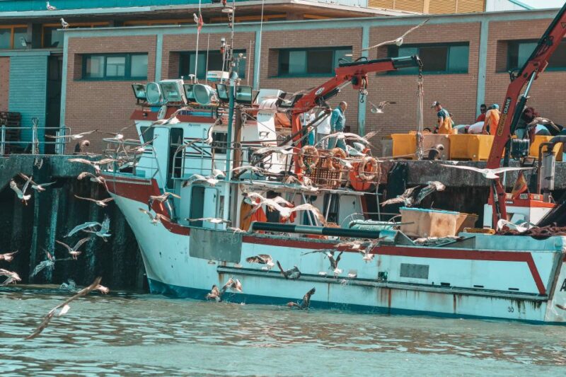 Isla Cristina/Isla Canela: Boat Trip Through the Marshes - Discover the Marshes and Port of Isla Cristina on a Scenic Boat Trip