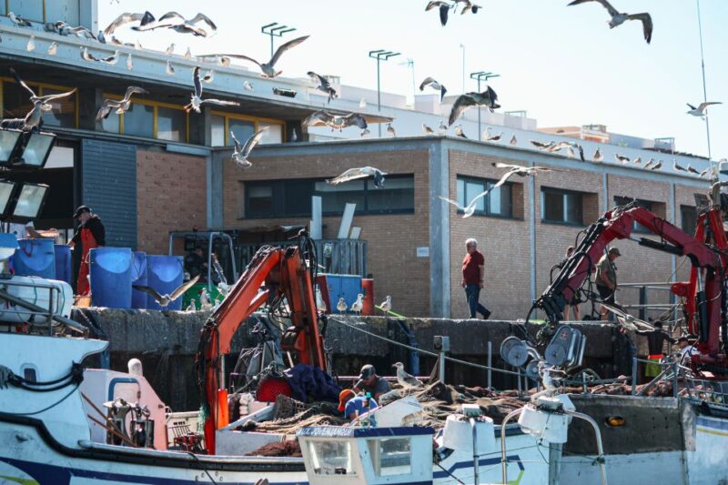 Isla Cristina/Isla Canela: Boat Trip Through the Marshes - The Marshes and Birdwatching Opportunities