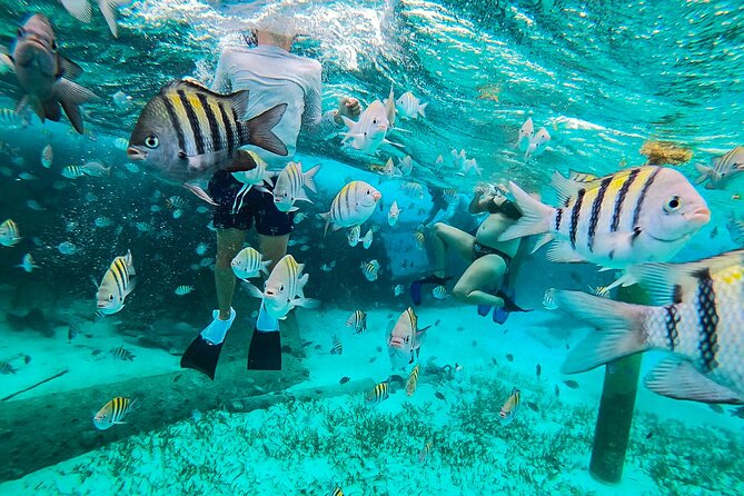 Isla Mujeres and Cancun Snorkeling and Fishing Combo - Departure Point and Tour Logistics in Cancun and Isla Mujeres