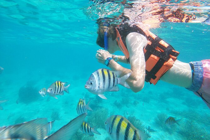 Isla Mujeres and Cancun Snorkeling and Fishing Combo - Snorkeling Among Colorful Coral Reefs and Tropical Fish