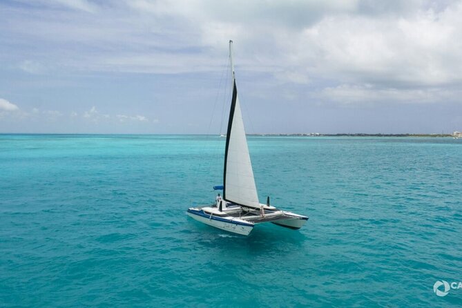 Isla Mujeres Basic Catamaran Tour with Snorkeling and Open Bar - Key Points