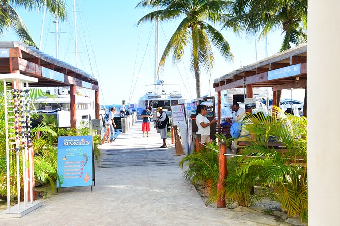 Isla Mujeres Catamaran Party Cruise with Snorkeling and Lunch - The Beach Club and Lunch Experience at Isla Mujeres