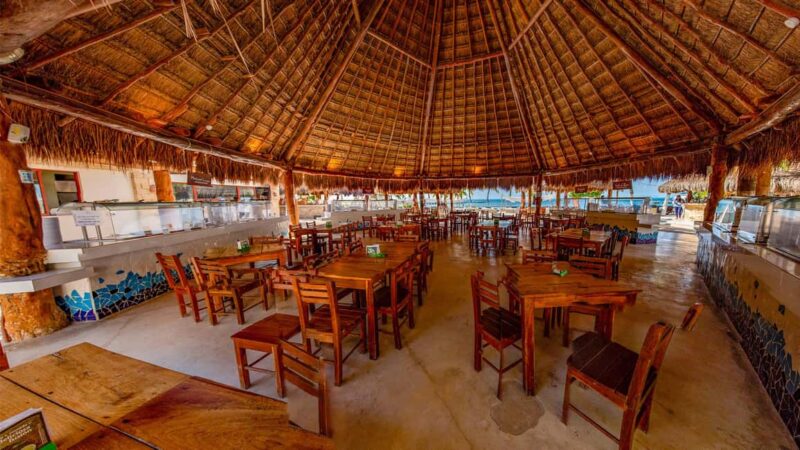 Isla Mujeres Catamaran, Snorkel & Buffet Lunch - Snorkeling at a Vibrant Coral Reef