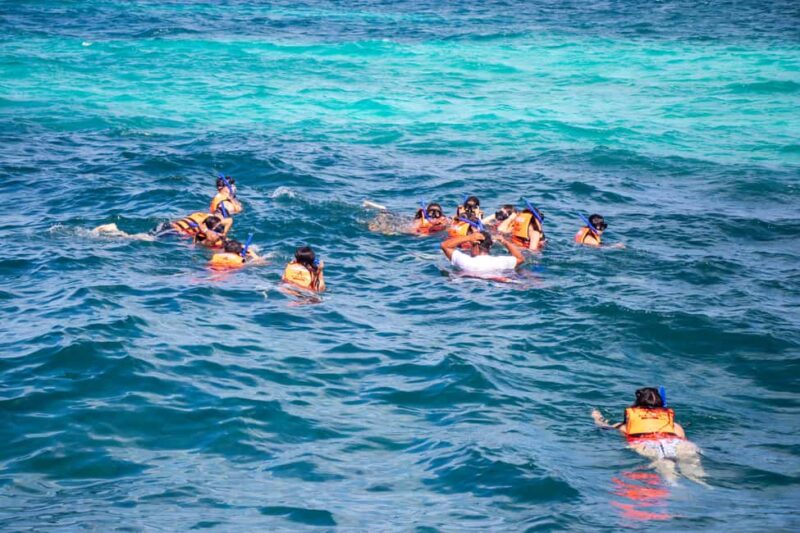 Isla Mujeres Catamaran, Snorkel & Buffet Lunch - Practicalities: Logistics, Payment, and Tips