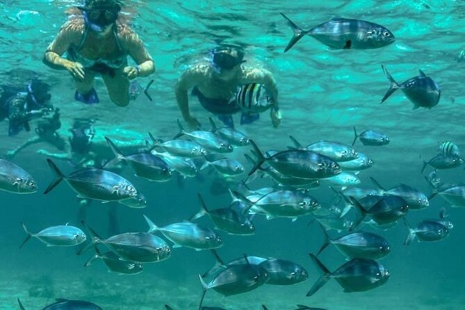 Isla Mujeres Full-Day Catamaran Tour  Buffet, Open Bar & Pickup - Free Time on Isla Mujeres