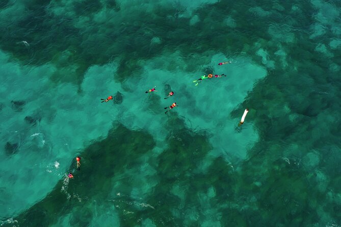 Isla Mujeres Island and Snorkeling Tour - Highlights of the Tour Experience