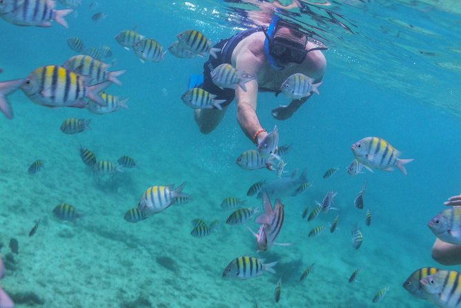 Isla Mujeres Luxury Sailing: Adults Only or Family Friendly - Pacing and Duration: What to Expect from the Trip