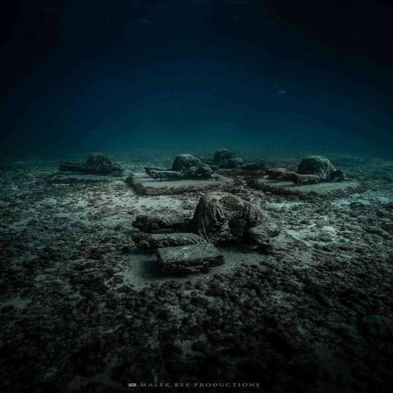 Isla Mujeres: MUSA and the Manchones Reef: 2 Tank Dive Tour - The Practicalities: What’s Included and What to Bring