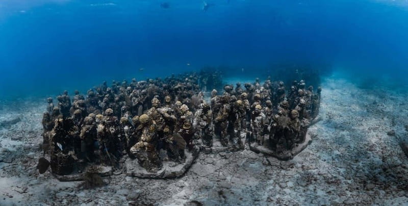 Isla Mujeres: MUSA and the Manchones Reef: 2 Tank Dive Tour - The Benefits of Small Group Diving with Professional Guides