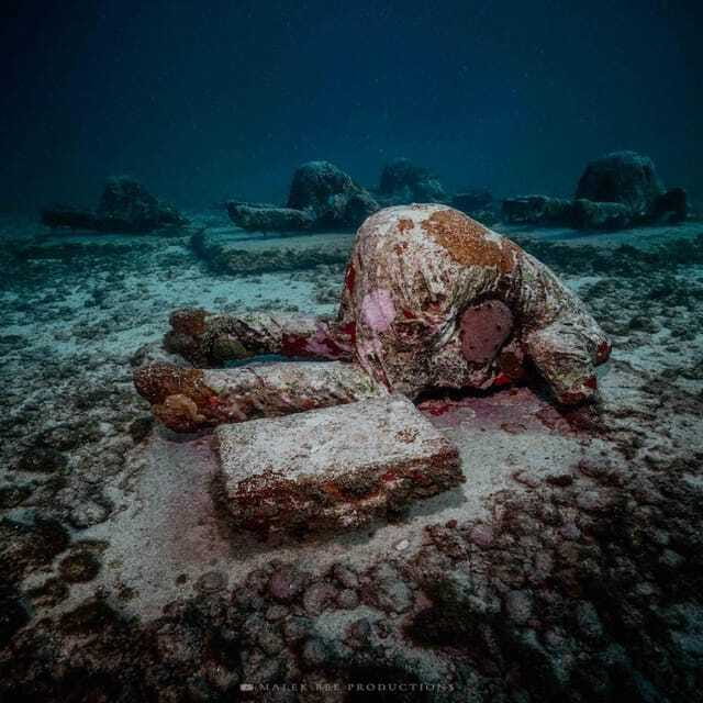 Isla Mujeres: MUSA and the Manchones Reef: 2 Tank Dive Tour - Who Will Appreciate This Dive Tour Most?