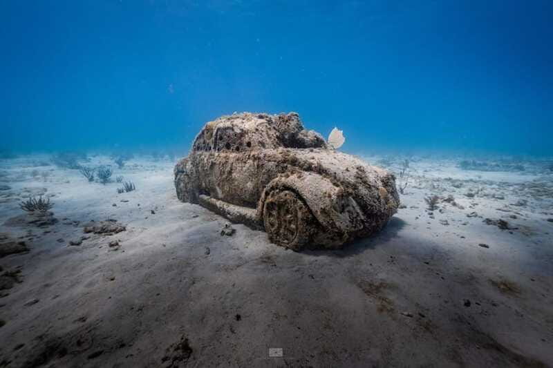 Isla Mujeres - MUSA and the Manchones Reef - Snorkel - Limitations and Considerations Based on Reviews