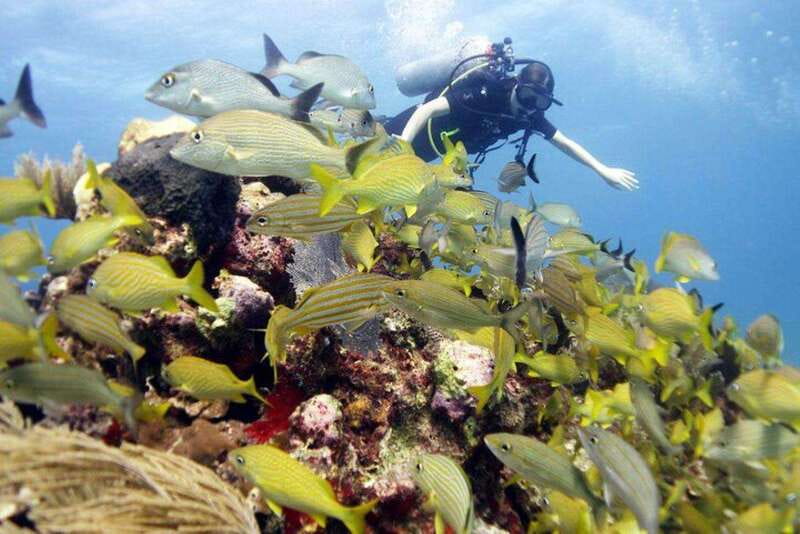 Isla Mujeres: PADI Open Water Diver Course - What Makes the Isla Mujeres PADI Course Stand Out?