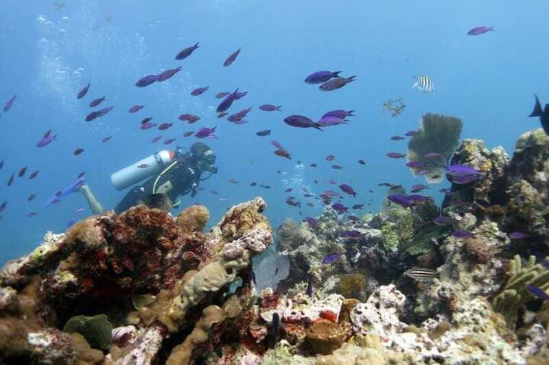 Isla Mujeres: PADI Open Water Diver Course - Important Logistics and Fees