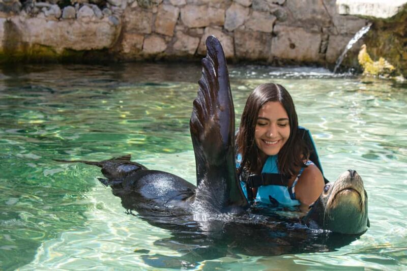 Isla Mujeres: Sea Lion & Manatee Interaction with Buffet - Encountering Playful Sea Lions in a Natural Setting