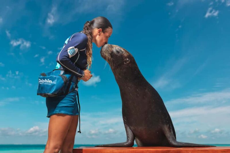 Isla Mujeres: Sea Lion & Manatee Interaction with Buffet - Practical Details: Meeting Location, Group Size, and Timing
