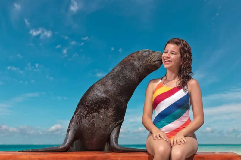 Isla Mujeres: Sea Lion & Manatee Interaction with Buffet - Final Thoughts on the Isla Mujeres Sea Lion & Manatee Tour