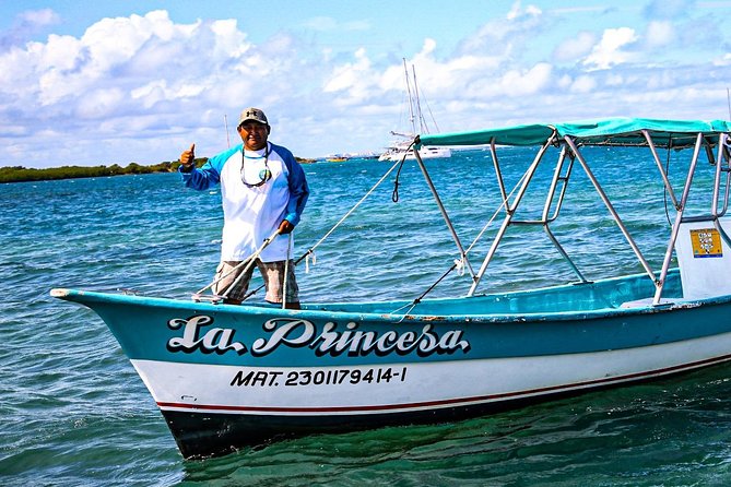 Isla Mujeres Snorkeling Tour Adventure - What You’ll See Underwater: Marine Life and Coral