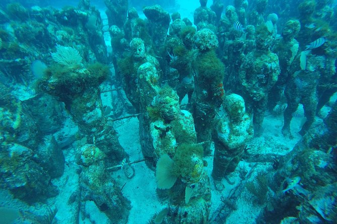 Isla Mujeres Snorkeling Tour Adventure - Guides and Crew: Knowledgeable and Friendly