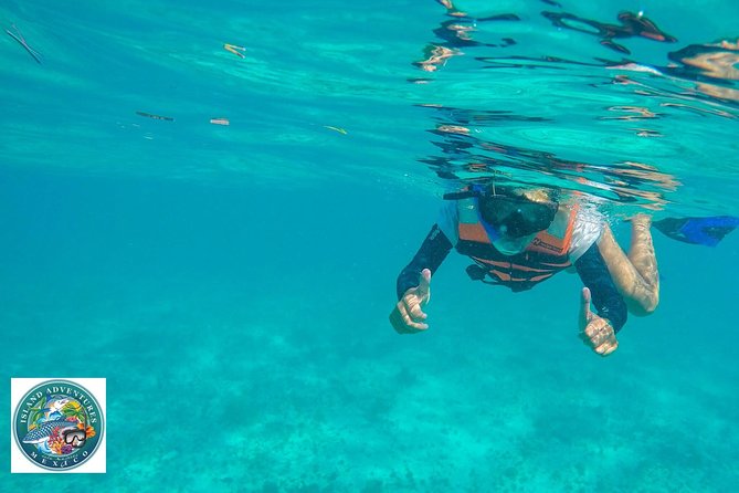 Isla Mujeres Snorkeling Tour Adventure - Food and Beverage: Ceviche, Sandwiches, and Margaritas