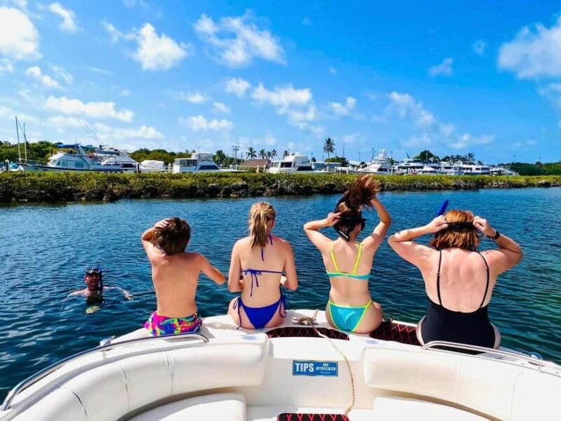 Islamorada: Private Snorkel & Sandbar Adventure - Pricing and Booking Details