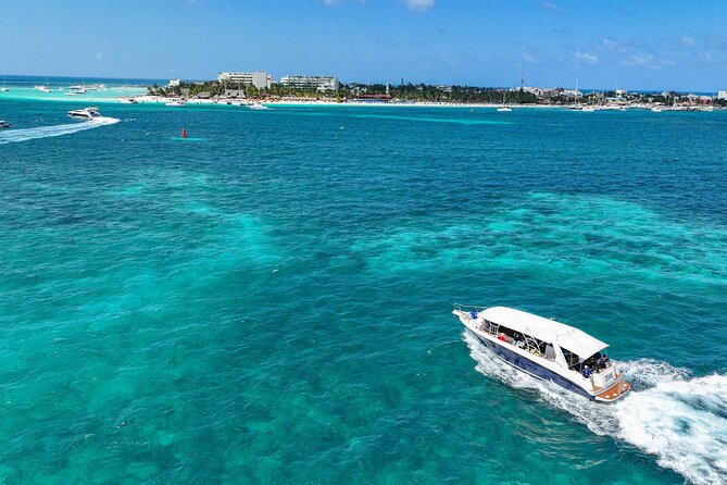 Island Adventure - Review Insights: What Works and What Could Improve