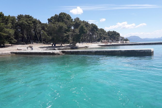 Island Badija - Yellow Taxi Cat - Limitations and Considerations