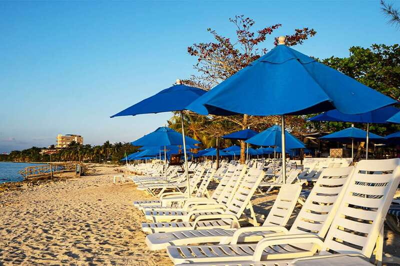 Island Buggy Tour - Snorkel Adventures and Marine Wildlife Viewing