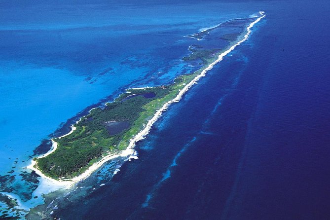 Island Contoy Adventour & Buffete & Isla Mujeres only from Cancun - Key Points