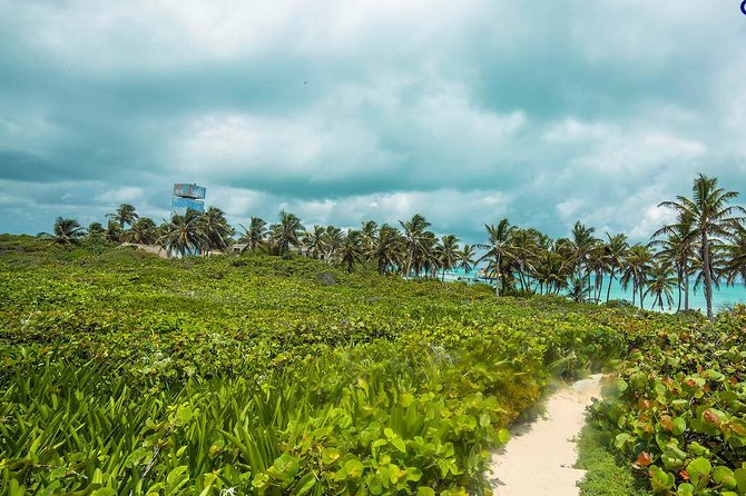 Island Contoy Adventour & Buffete & Isla Mujeres only from Cancun - Snorkeling at Ixlaché Reef: Marine Life and Coral Formations