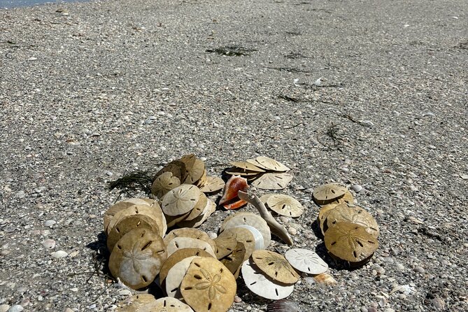 Island Hopping and Snorkeling Trip - Key Points