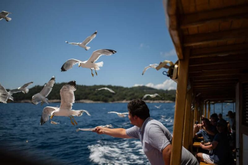 Island Hopping & City Walls Cruise with Food and Open Bar - Exciting Dubrovnik Sea Adventure with Food and Drinks