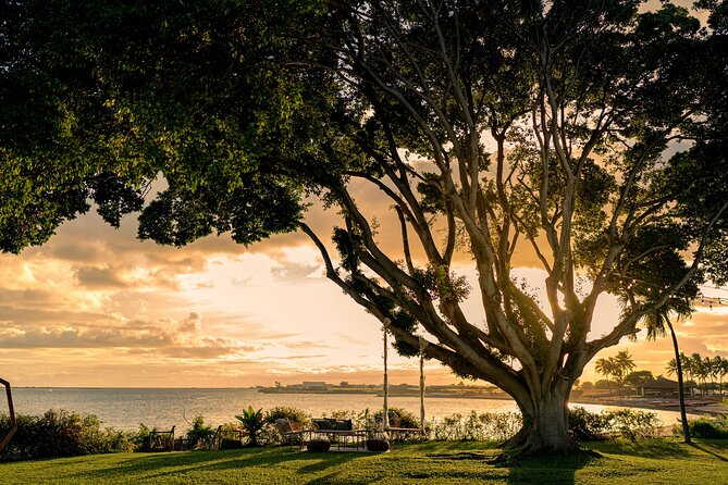 Island of Magic Private Wedding Tour - Choosing Your Dream Beach Location for the Ceremony