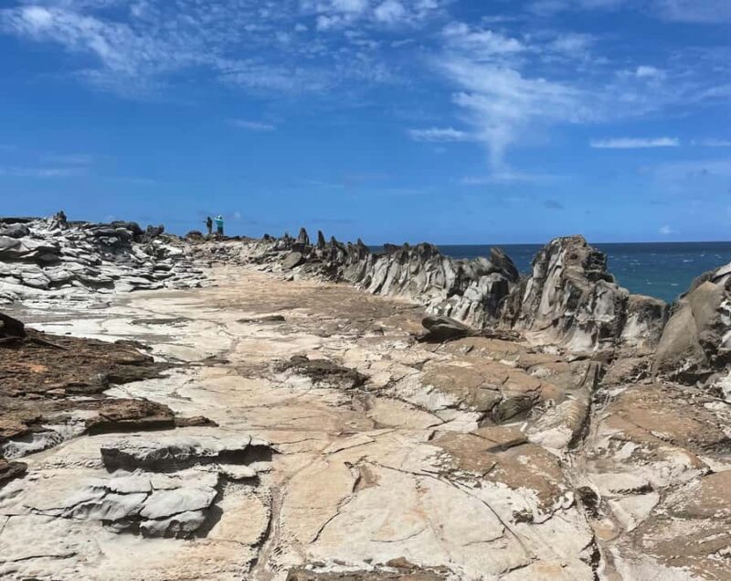 Island of Maui Customized Half-Day Private Tour - Private, Tailored Exploration in Maui’s Scenic Comfort