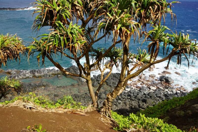 Island of Maui Customized Half-Day Private Tour - Why This Tour Is a Good Fit