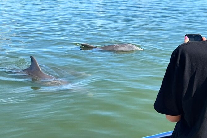 Island Paradise: Dolphin, Shelling, Birding Eco Boat Tour - Key Points