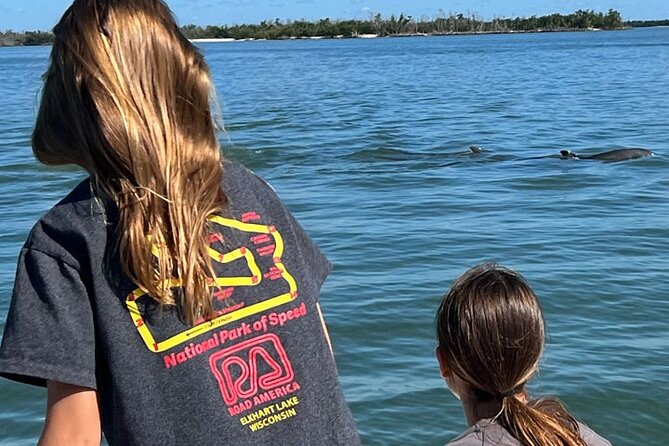 Island Paradise: Dolphin, Shelling, Birding Eco Boat Tour - Shelling and Beachcombing for Vibrant Seashells